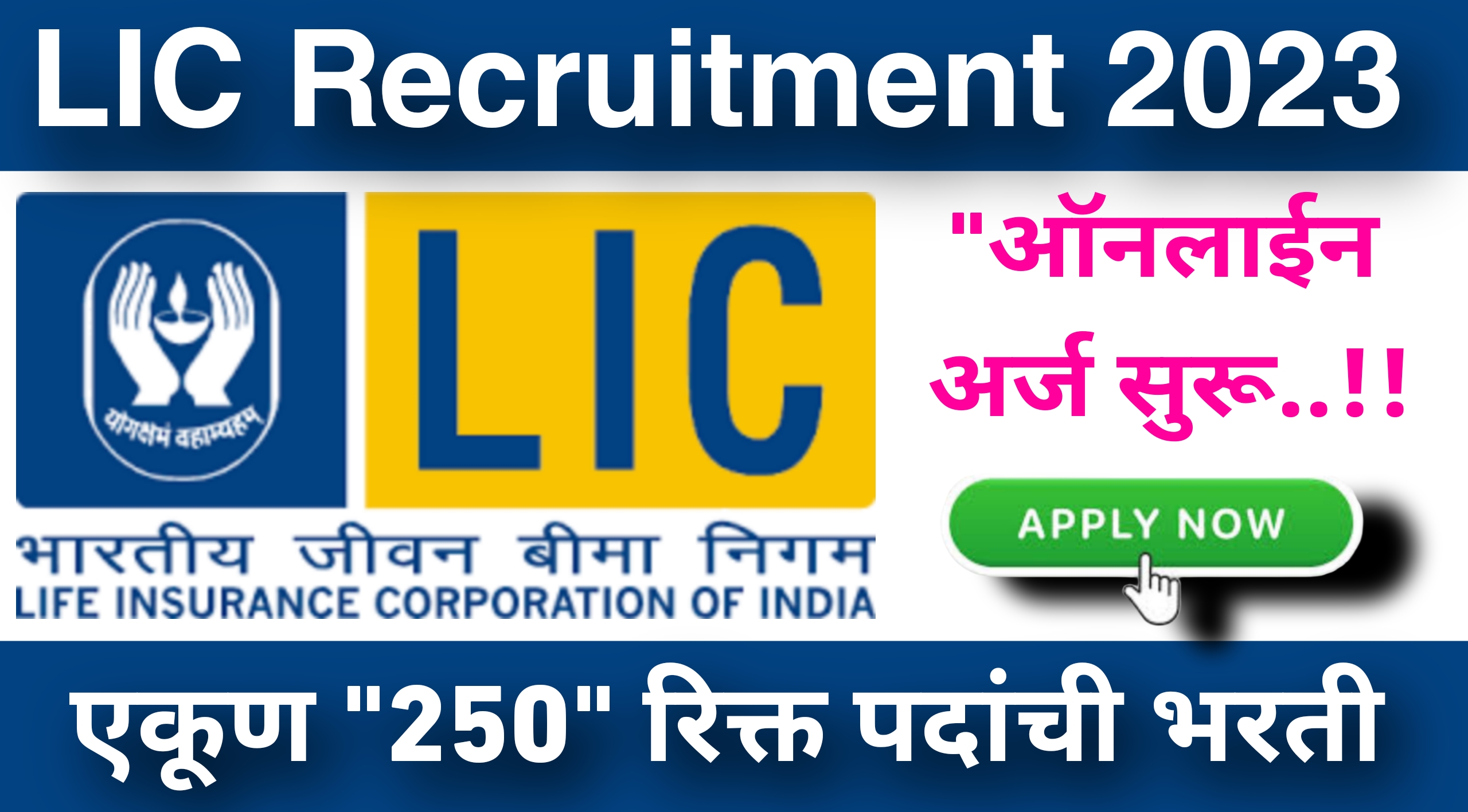 LIC Housing Finance Ltd Bharti 2024